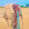 hmudy.muhmed