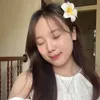 haianhreview28