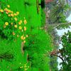 nur97604