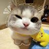 riss4134