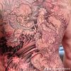 drago4444444