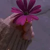 manursantana01
