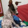 eduardo.escriba