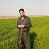 faraidun.ali8
