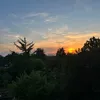 lilyyjansx