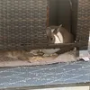kevin.lindstrm2tiktok.c0