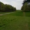 gorgt5