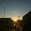 owca.kotkw