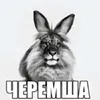 user661308109491
