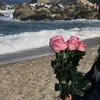 mi__ri450