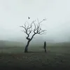 duhok_sport17