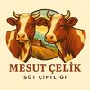 Mesut Çelik SÜT Çiftliği