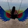 upice.com