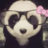 grace_msrypam