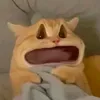iu_socola_latteee