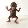 nivrik4