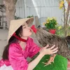 Hoa Mai (Trại Gà Th.Sinh Phúc)