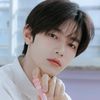 yeppeunkkotchi