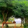 mdhassan7999