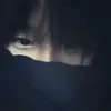sieu_nhan_heo_
