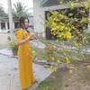phng.quynn44