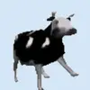 gutsandblackpowder66