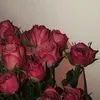 s3xff