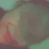 xhenisa_049