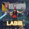 labibgaming63