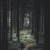abbasov_ali_88