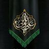 syednaqvi633