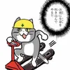 chat.noir515