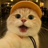 via_ndf