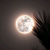 nermeen.essam03