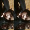 lvntvtwo