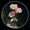 mano_billi_933