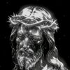romans_here566