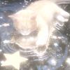 roro_54283