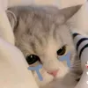 cute09525