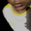 wesley.exe7