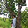 magar.babu655