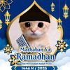 user58880175184158