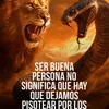 maquina8548