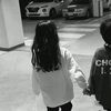 _ziva250
