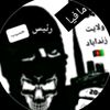 ali843317