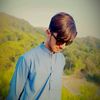 x1.abbasi5