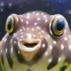 fisch7991