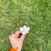 eram.khan03