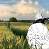 slkjapa