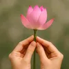 gia.khnh1308